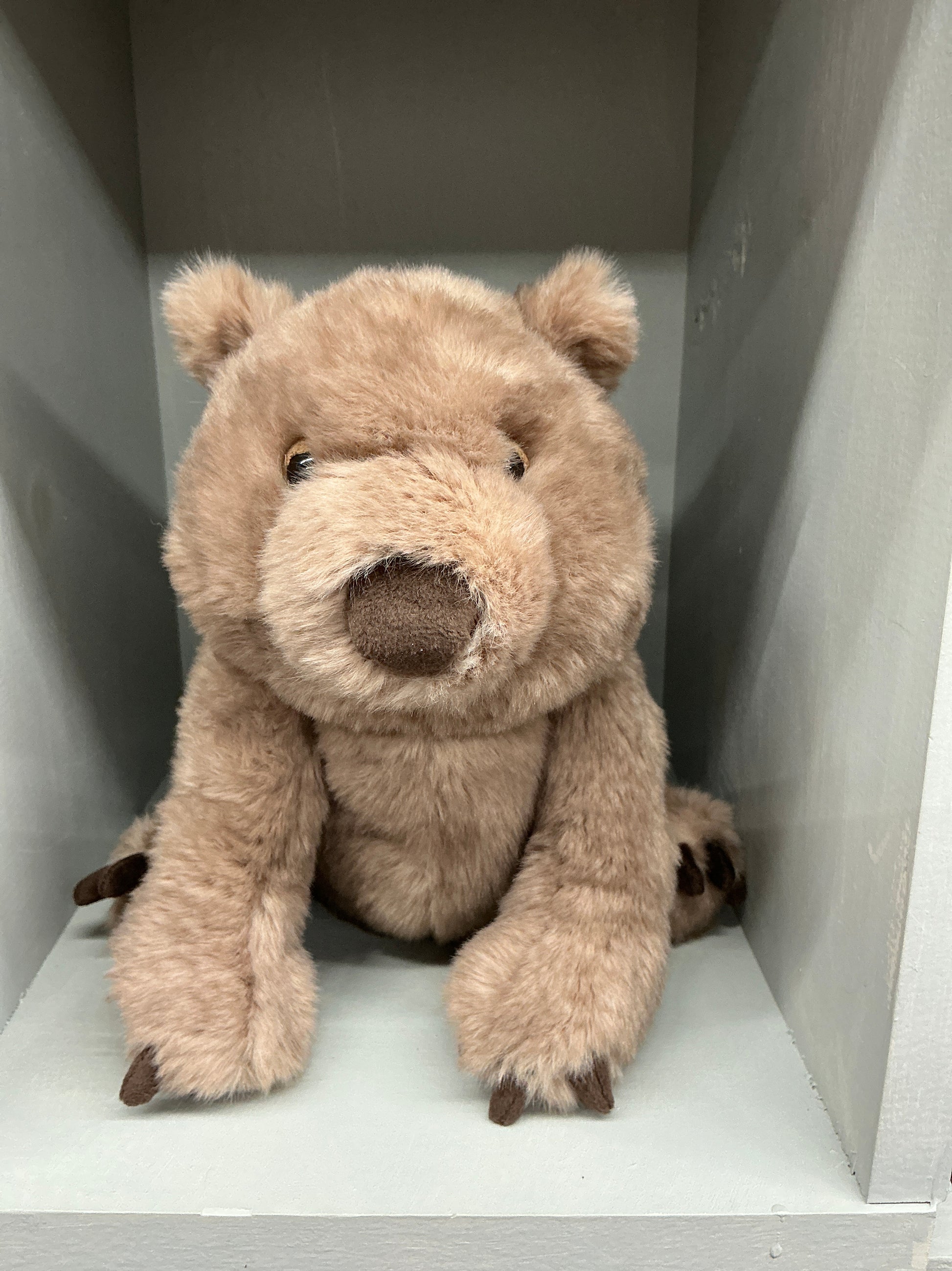Jellycat Wonda Wombat